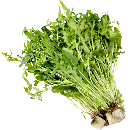 Wild Roquette 100g Punnet